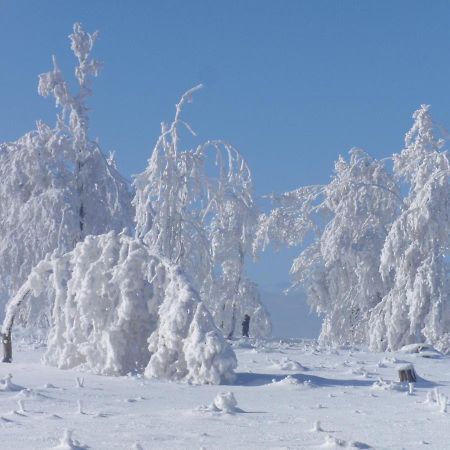 Hildfelder Stuebchen Hotell Winterberg Eksteriør bilde